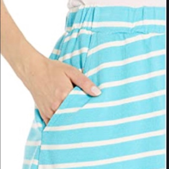 BOGO Fresh Produce Avery turquoise striped skirt NWTS L - Picture 2 of 10